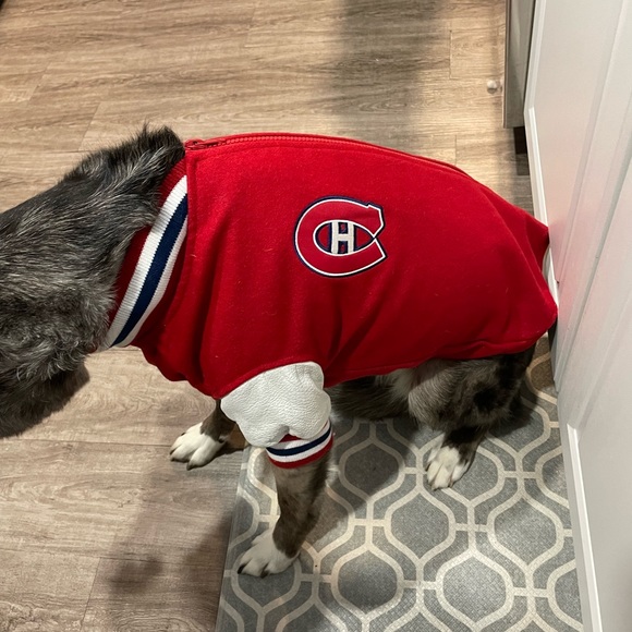 Montreal Canadians dog jacket official NHL W/ leather legs - Picture 6 of 8